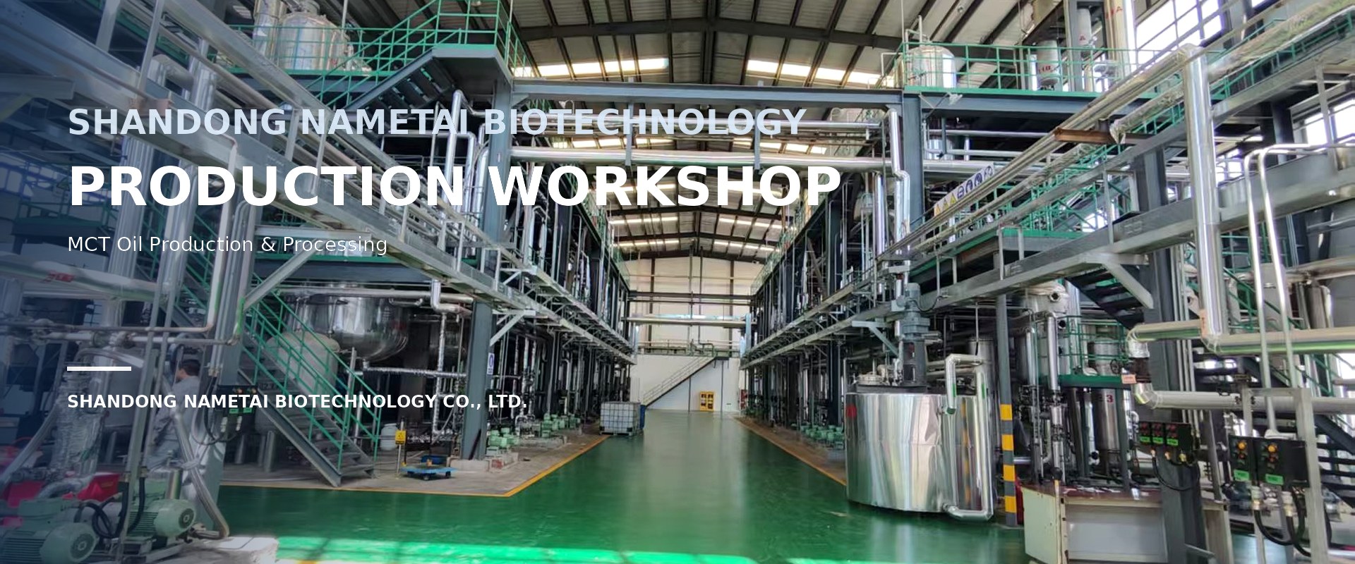 Nametai MCT oil production workshop with stainless steel processing equipment
